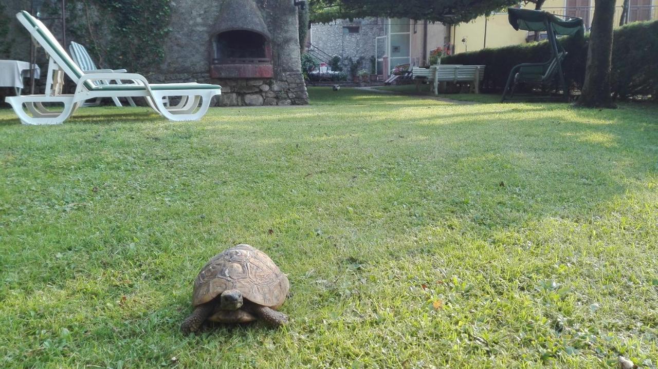 Corte Faliva Brenzone sul Garda Luaran gambar